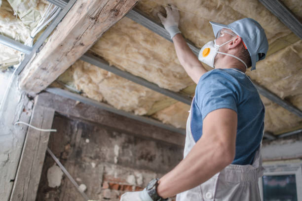 Best Commercial Insulation in Bear Creek, FL